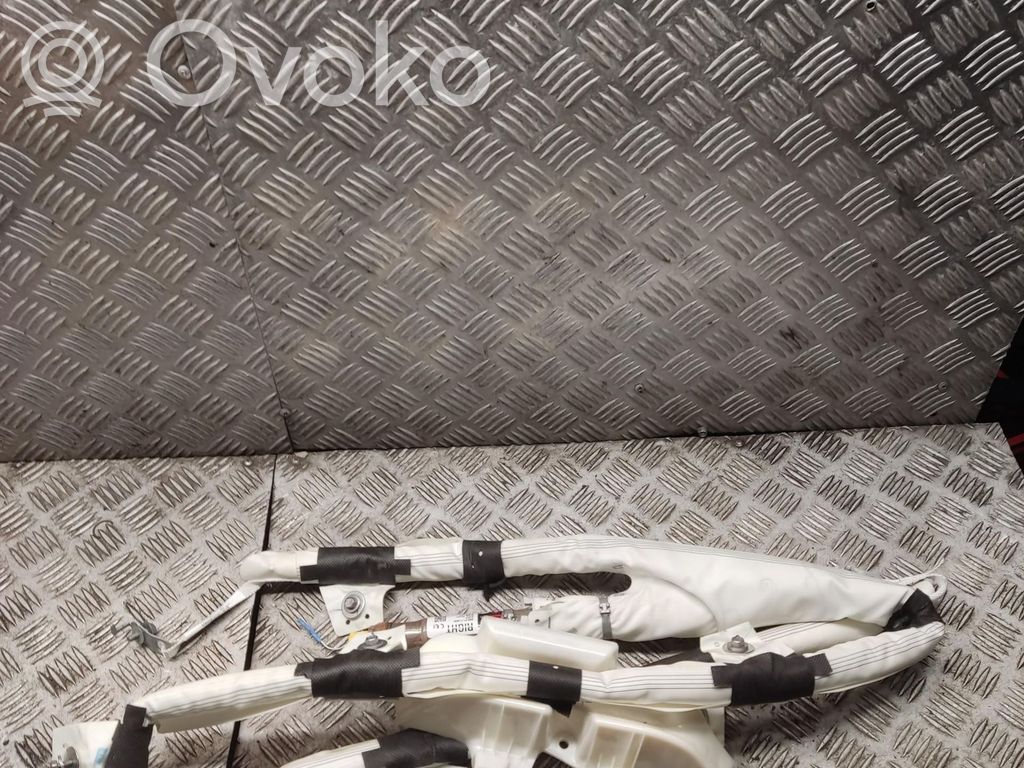 Airbag del techo   1077828CNE