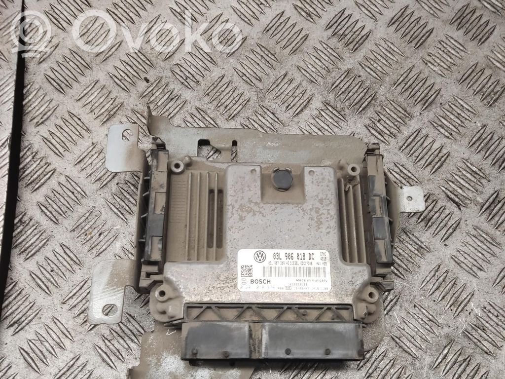 Volkswagen Caddy Engine control unit/module 
