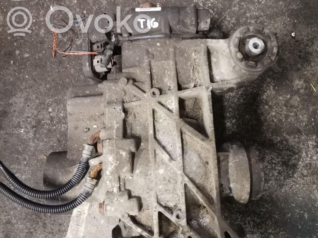 Volkswagen Tiguan Galinis reduktorius 