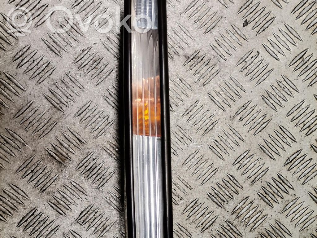 Front indicator light   3C0953041L