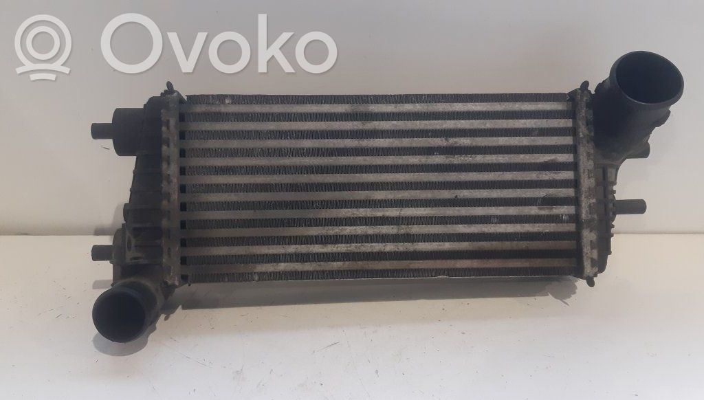 Intercooler radiator   BV619L440CG,BV619L440CG,BV619L440CG,BV619L440CG