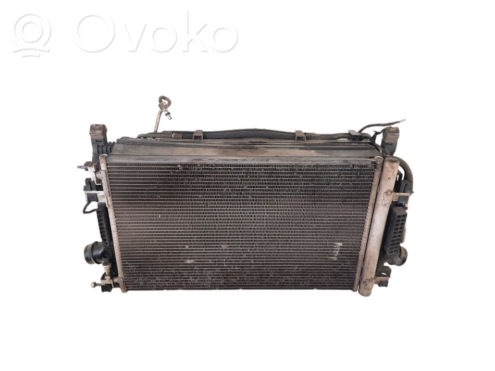 Radiator set   1341107,1302151,13377763,13393984,13394454,1637844680,39074654,39140128