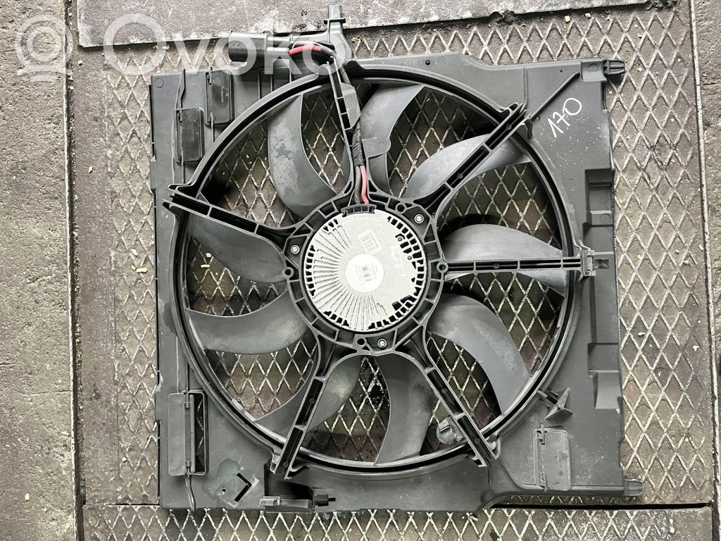 Elektrisks radiatoru ventilators   7795757,306D5