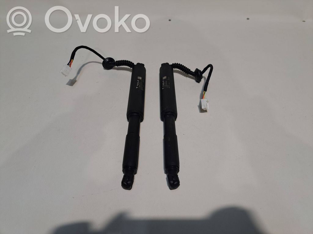 Tesla Model S Aizmugurējā pārsega pievilcējs 