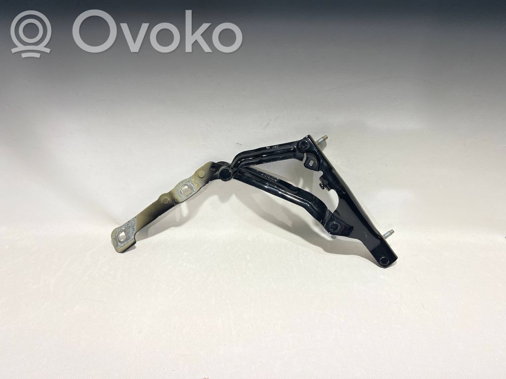 Tesla Model 3 Tailgate/trunk/boot hinge 