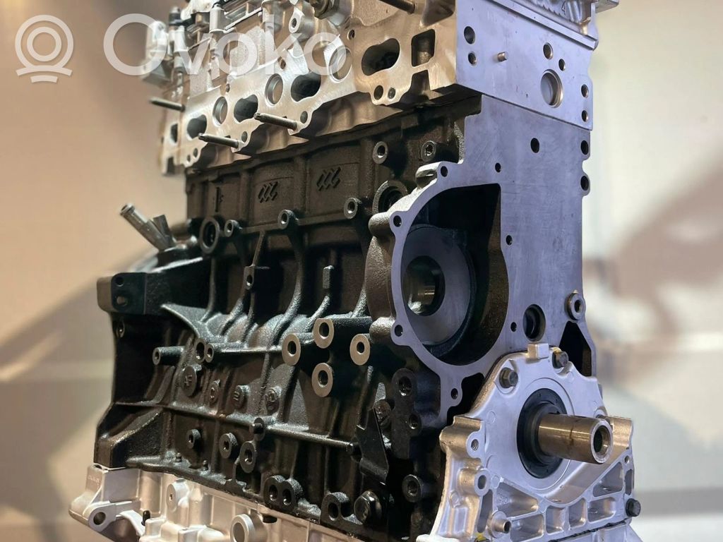 Motor   DW10FC