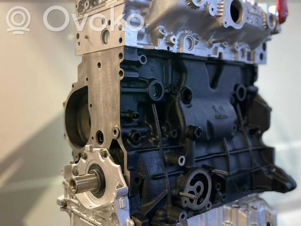 Motor   DW10FC