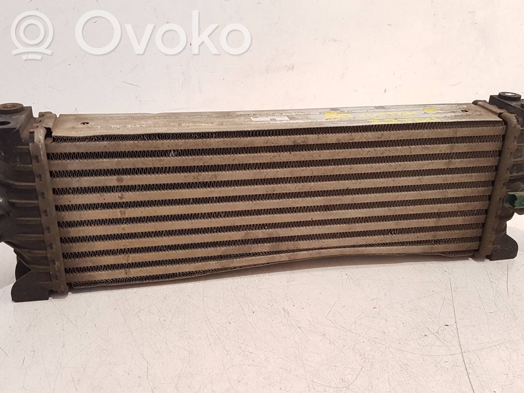 Interkūlerio radiatorius   CC119L440AE,FK8BA,03072013