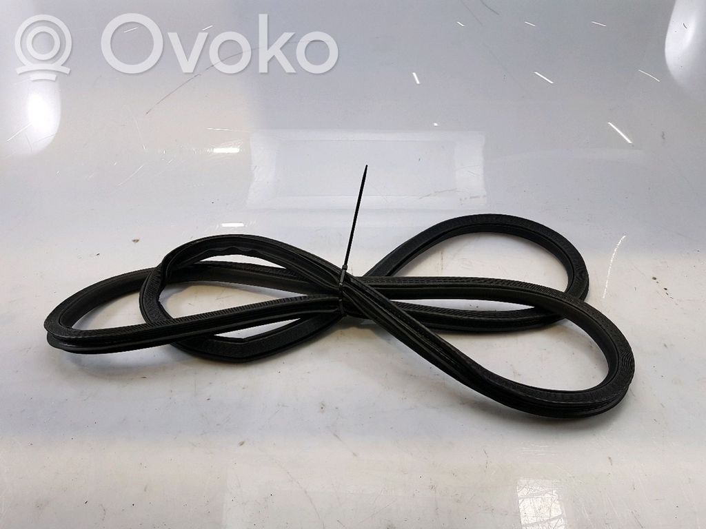 Fiat 500X Front door rubber seal 