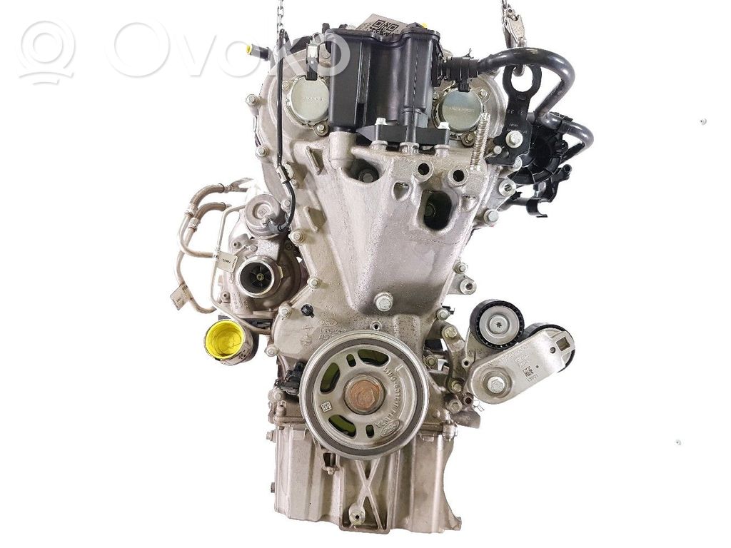 Ford Puma Variklis 