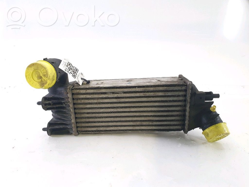 Peugeot 406 Intercooler radiator 