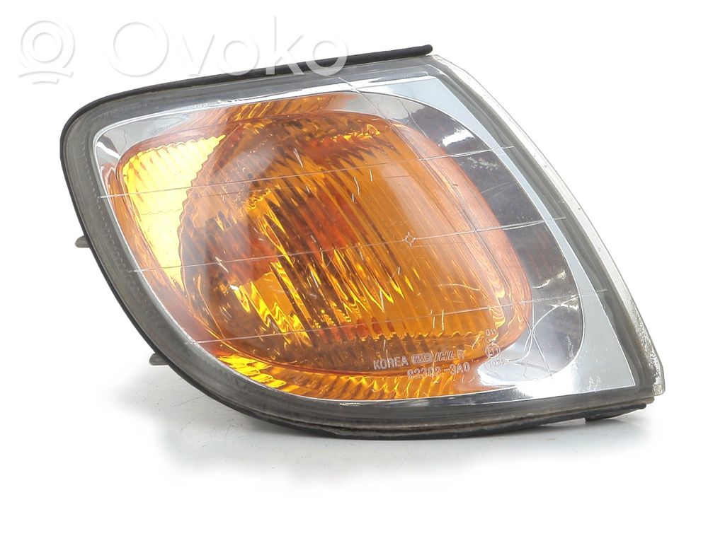 Hyundai Trajet Frontblinker 