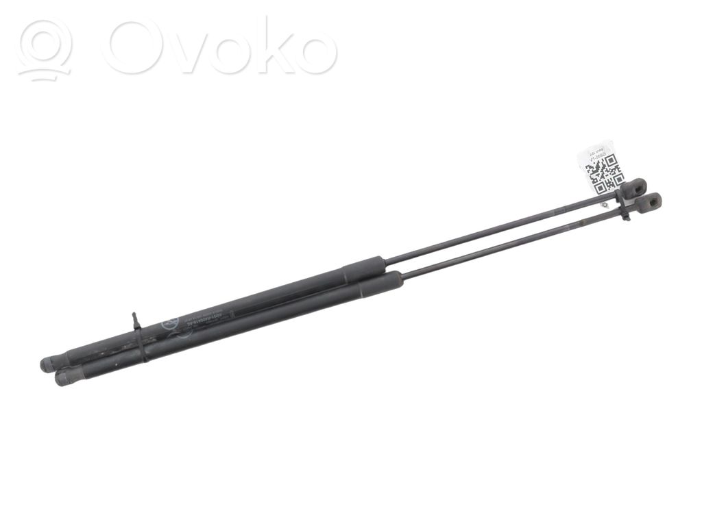 Ford C-MAX II Tailgate strut 