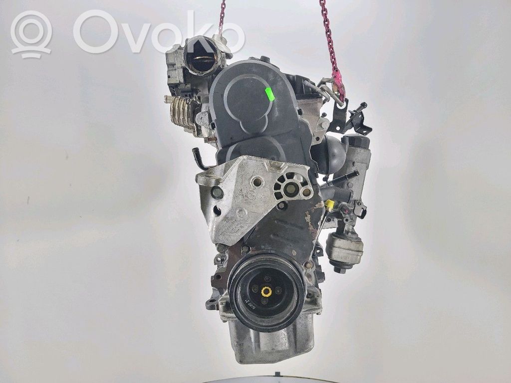 Skoda Octavia Mk2 (1Z) Motor 