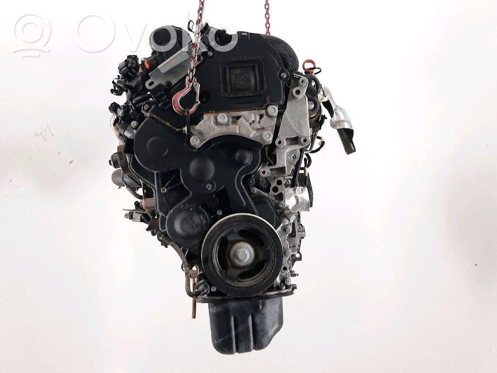 Moteur   8H01,H14855T