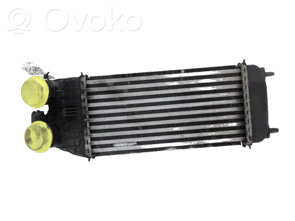 Interkūlerio radiatorius   9803900780,B16871L