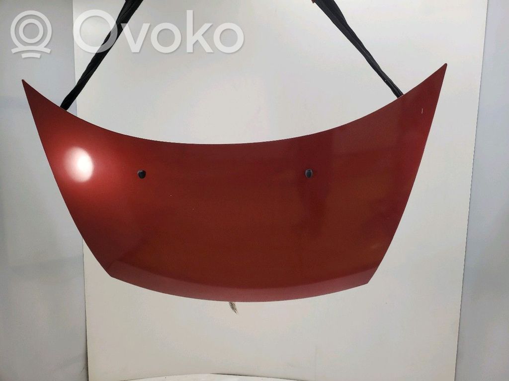 Motorhaube   7901N0,U15695U