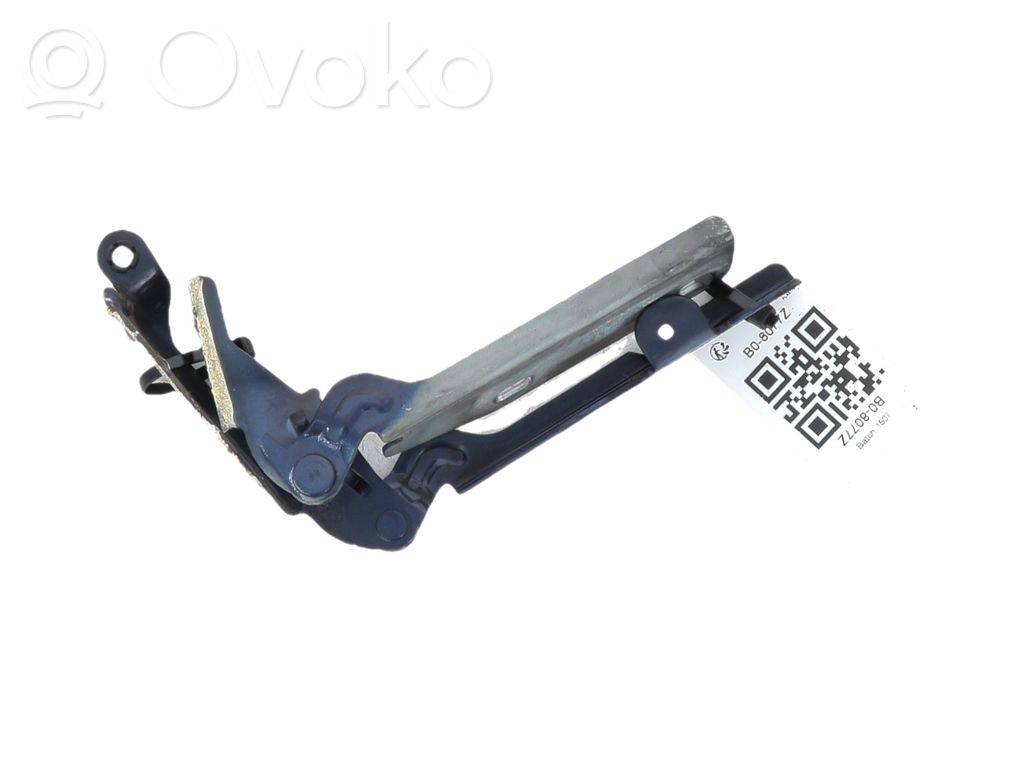 Renault Twingo I Cerniere del vano motore/cofano