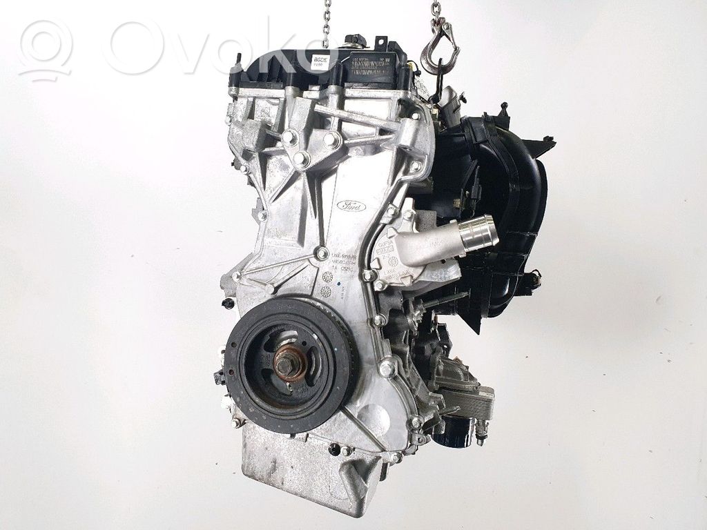Ford Kuga III Motore