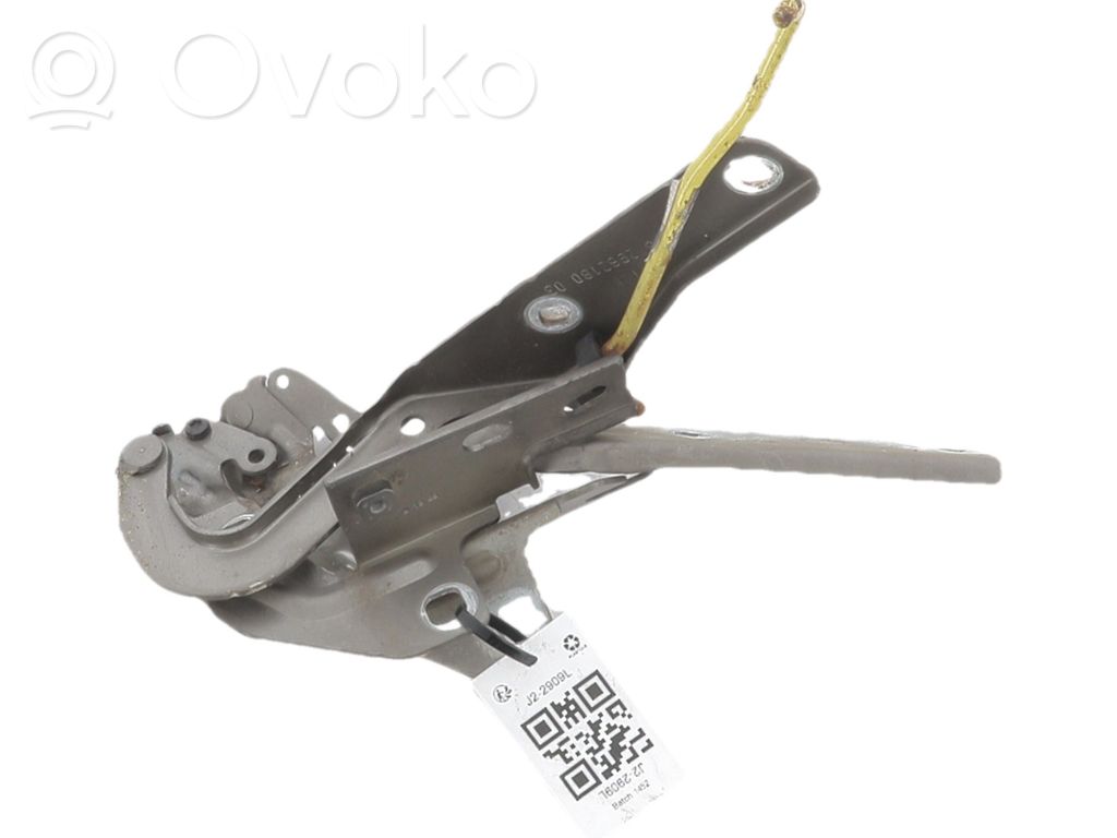 Citroen C4 I Picasso Zawiasy pokrywy / maski silnika 