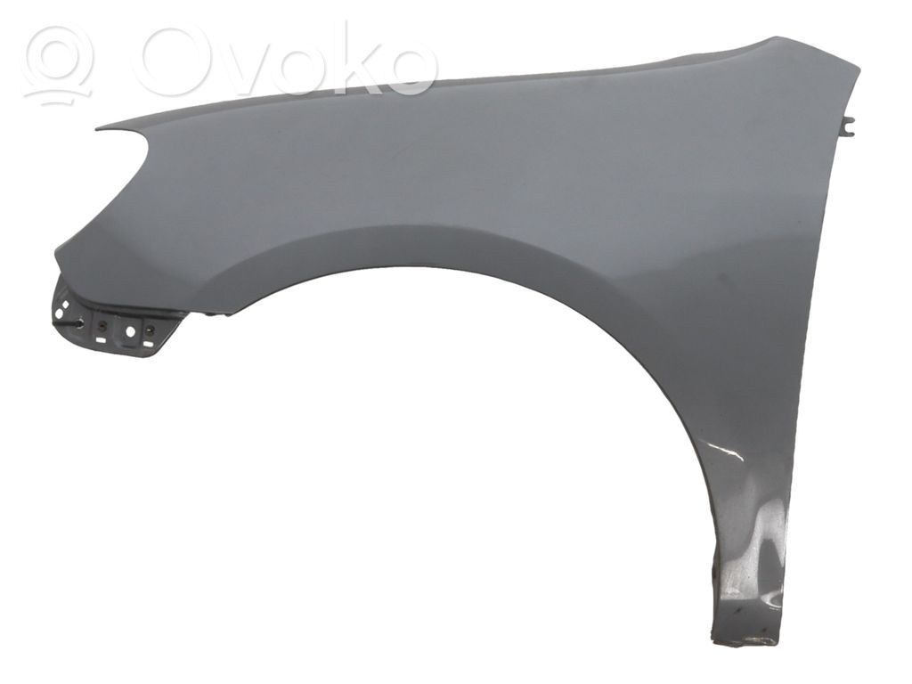Volkswagen Golf VI Fender