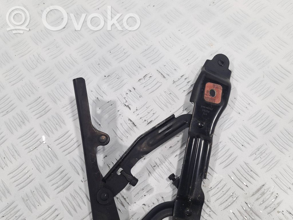 Tailgate/trunk/boot hinge   84646652,20359