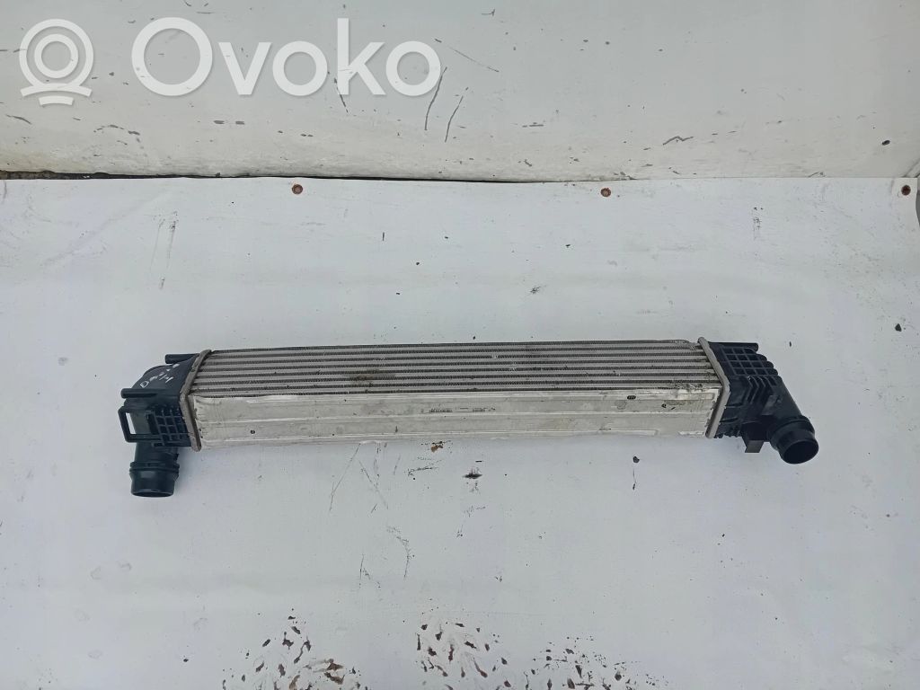 Dacia Duster Interkūlerio radiatorius 