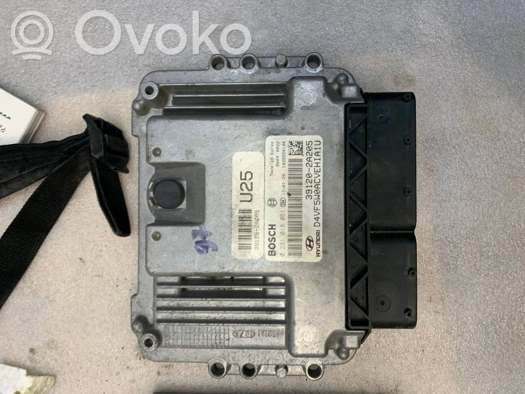 Engine control unit/module   391202A205,0281018051