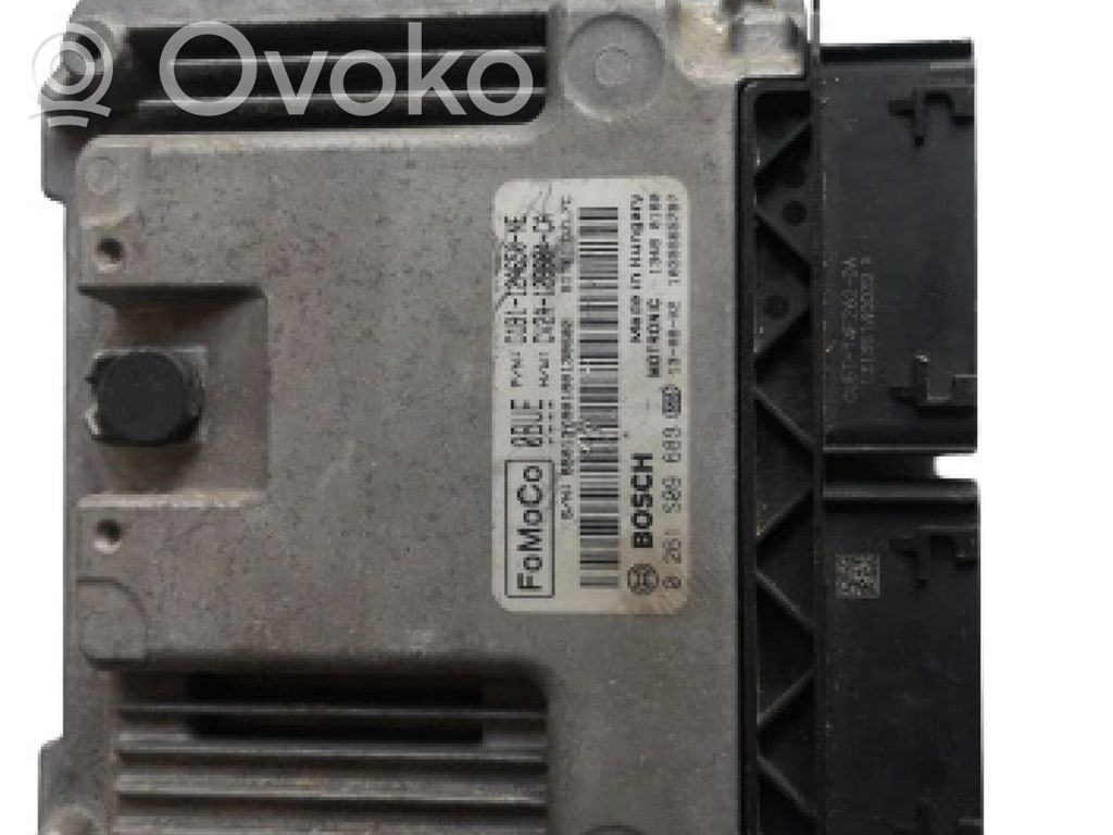 Engine control unit/module ECU