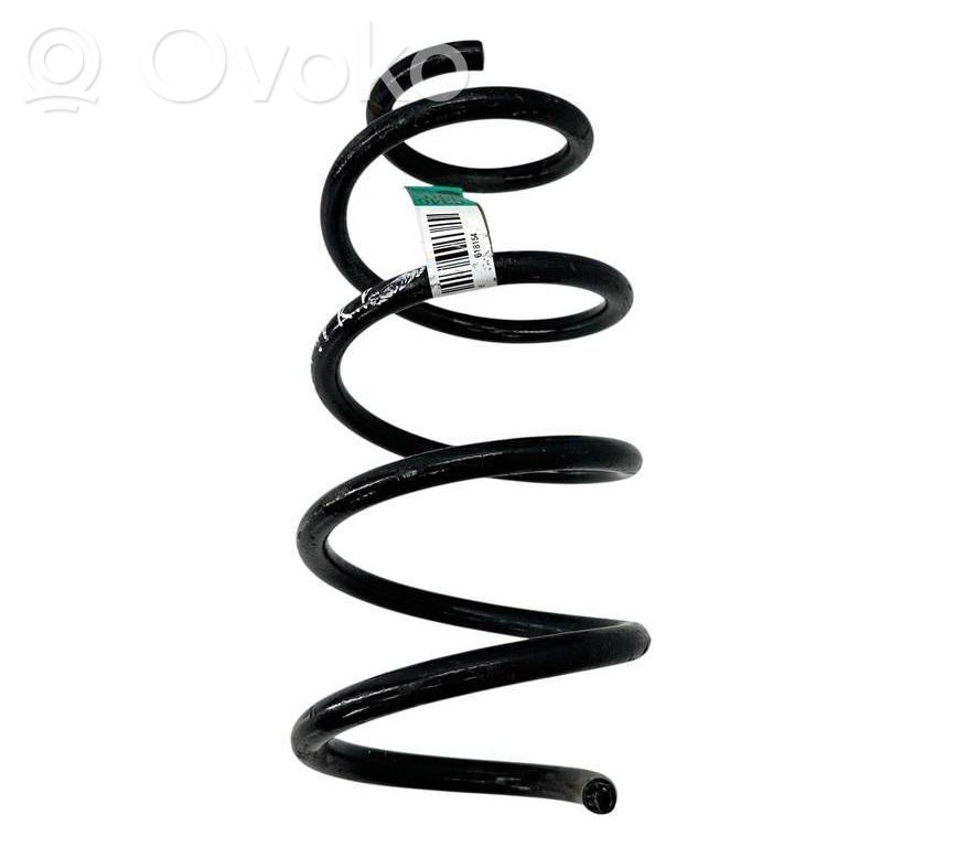 Front coil spring   BV615310NLB