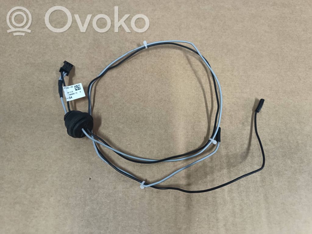 Mini Cooper Countryman F60 Amplificatore antenna 