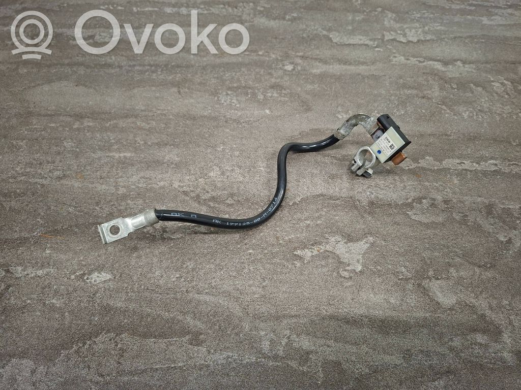 Mini Cooper Countryman R60 Negative earth cable (battery) 