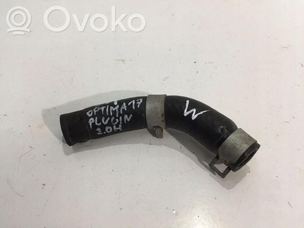 KIA Optima Трубка (трубки)/ шланг (шланги) 