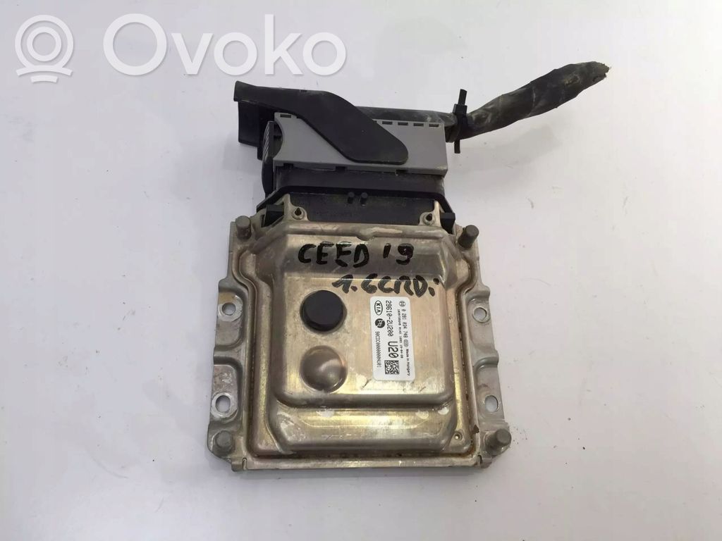 Engine control unit/module   296102U200