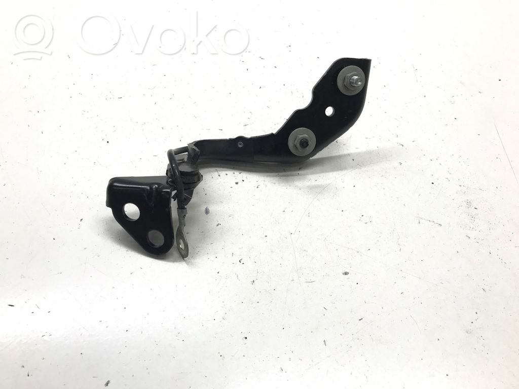 Jaguar I-Pace Tailgate/trunk/boot hinge 