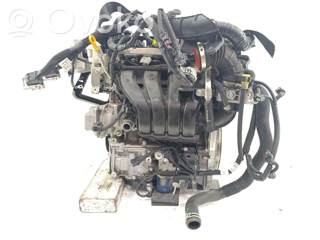 Renault Arkana Variklis 