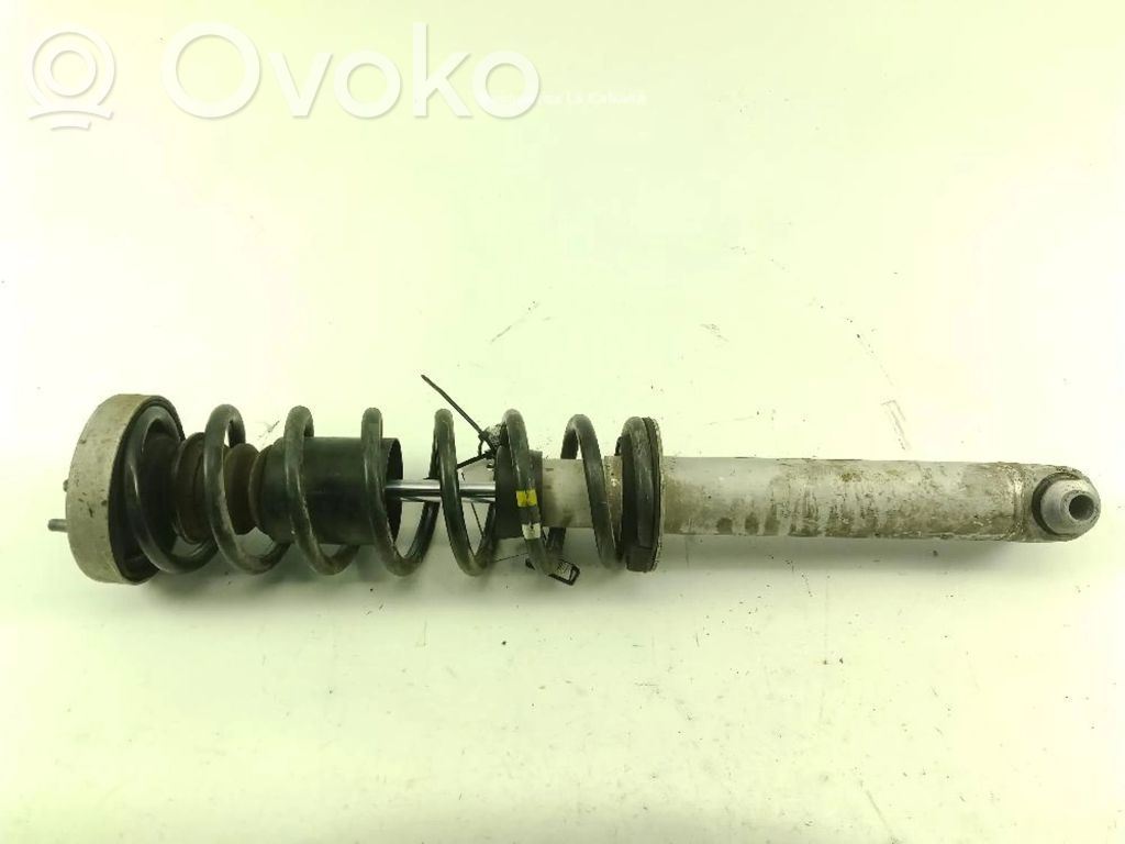 Stoßdämpfer hinten   6758094