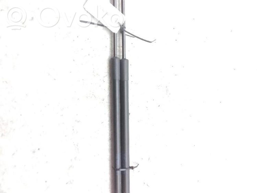 Seat Leon (5F) Rear window strut damper 