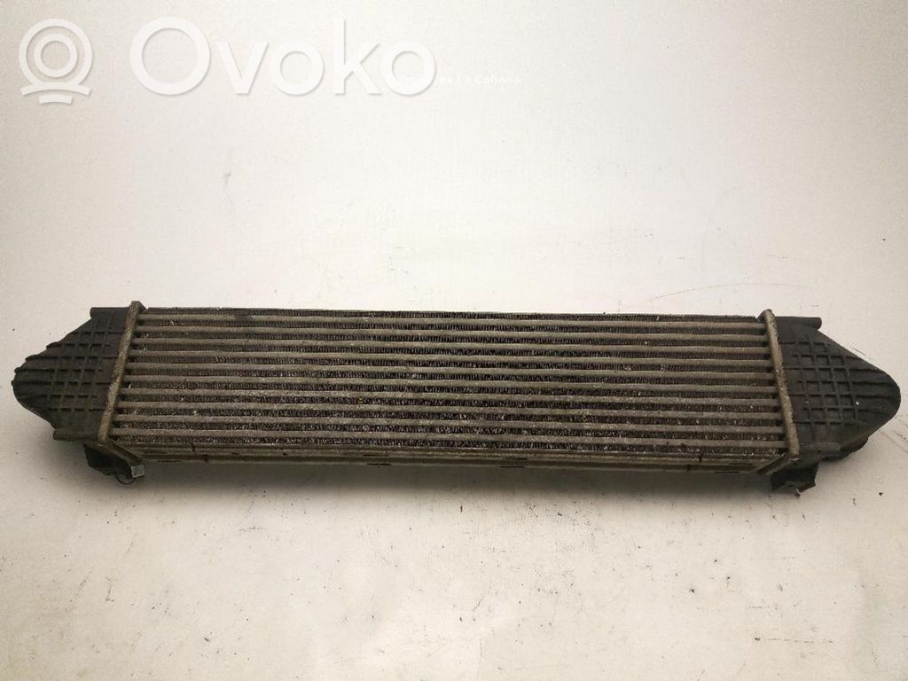 Interkūlerio radiatorius   LR009802