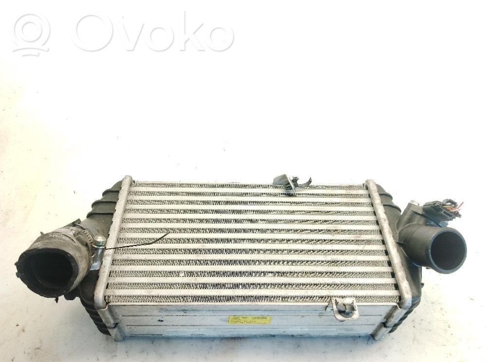 Ladeluftkühler   282702A770