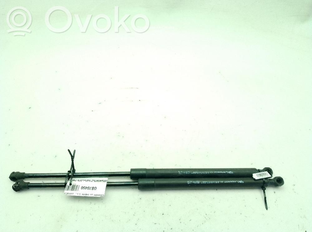 Renault Megane IV Amortyzator / Siłownik szyby klapy tylnej / bagażnika 