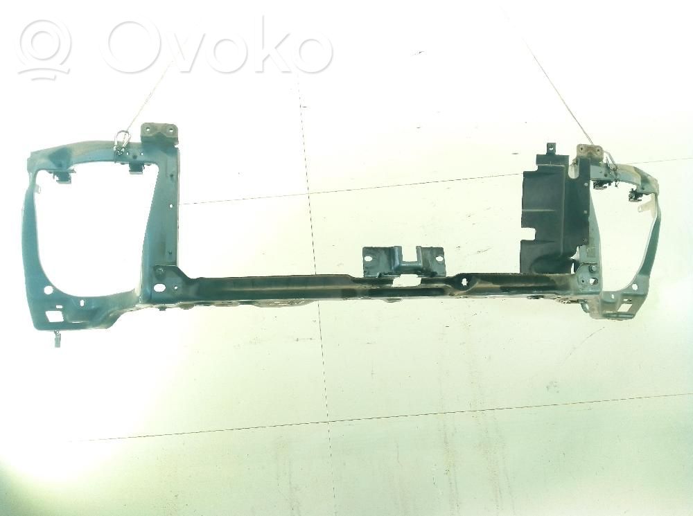Radiatorių panelė   6C115D066AC