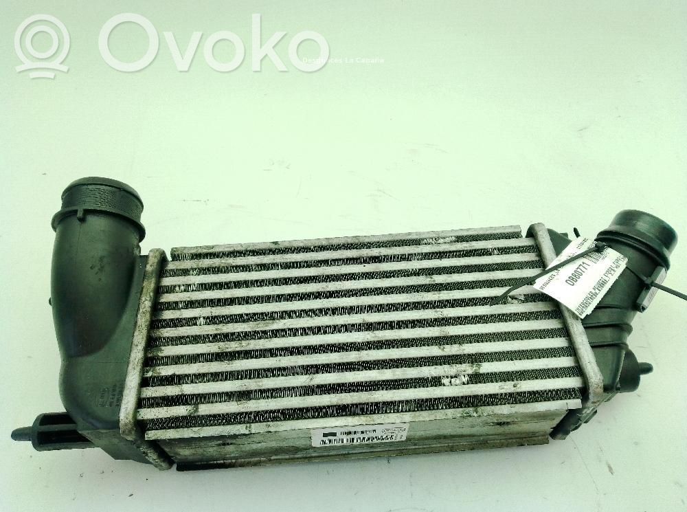 Peugeot Expert Intercooler radiator 