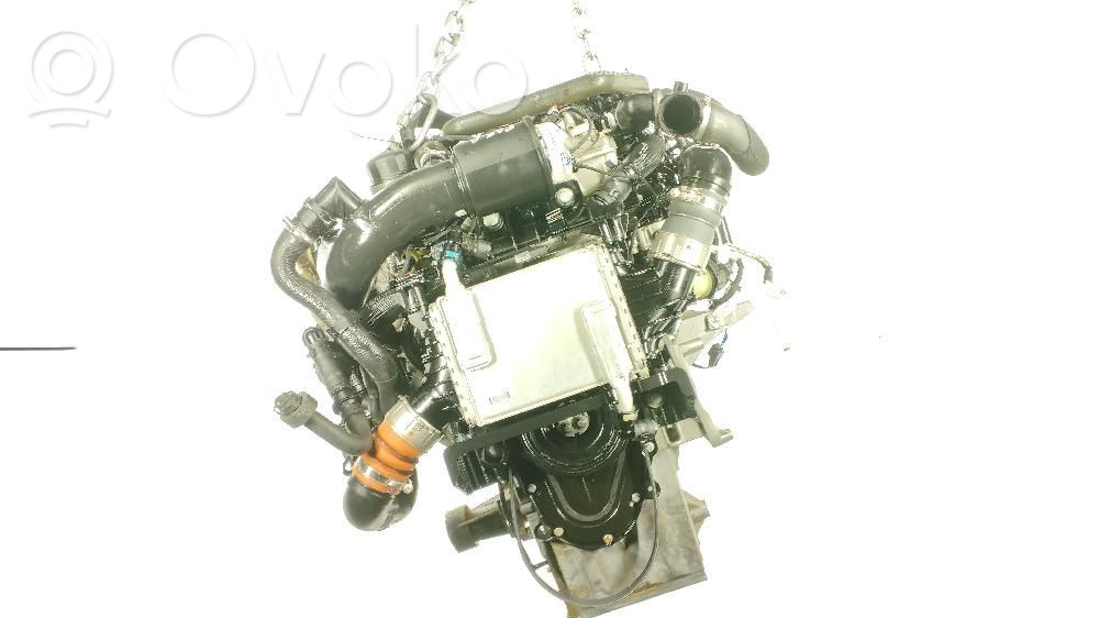 Motor   PT204