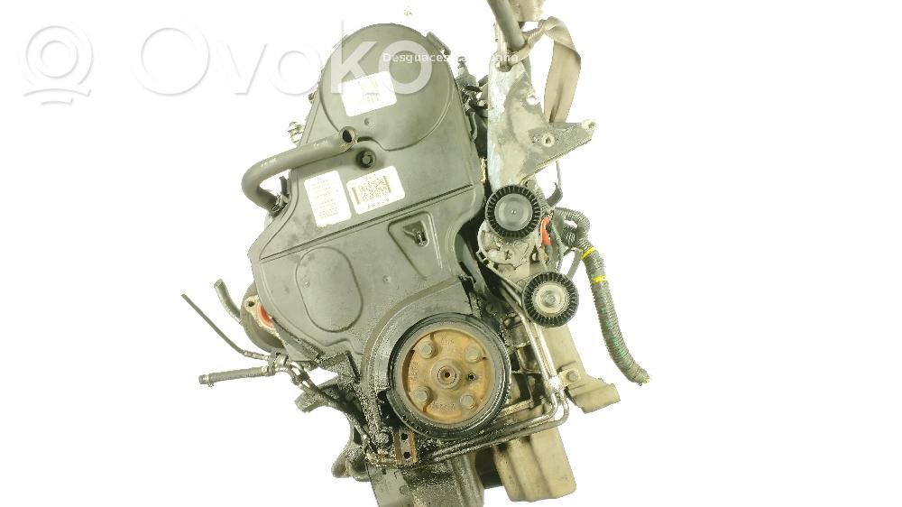 Variklis   D5244T,6901199