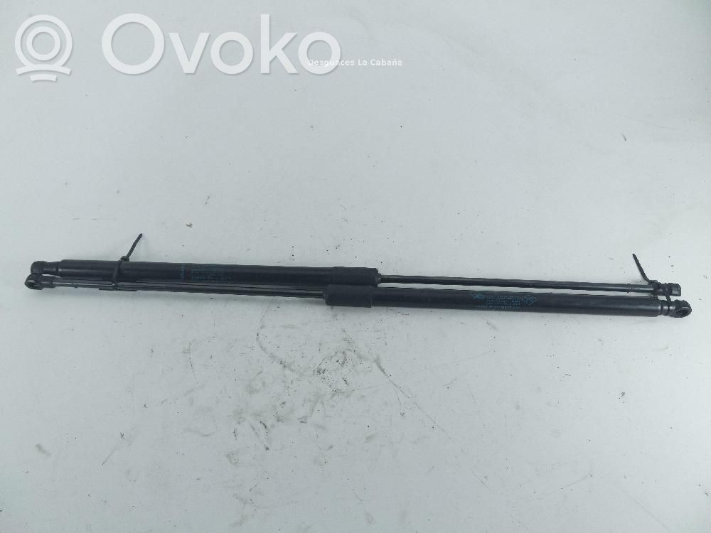 Renault Talisman Rear window strut damper 