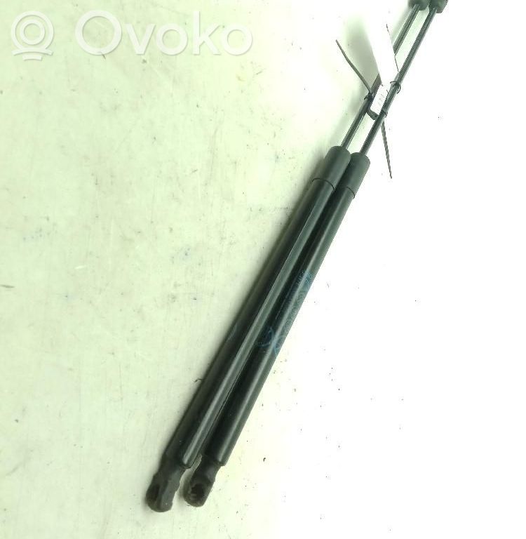 Tailgate/trunk strut/damper   2284725
