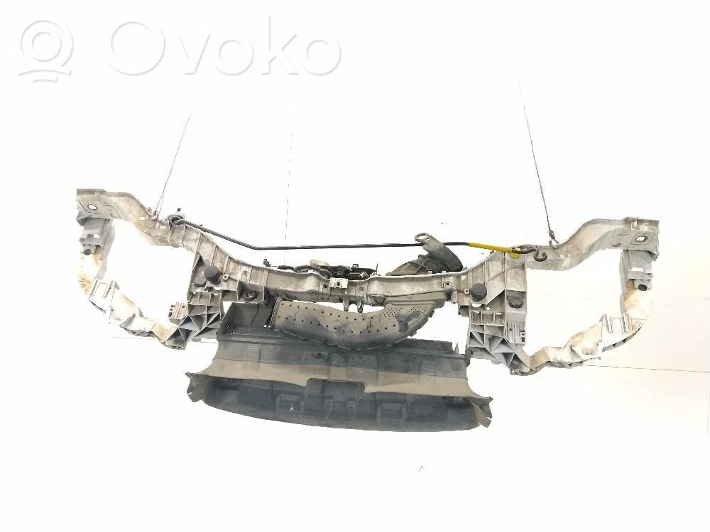 Ford Focus Radiatoru panelis 