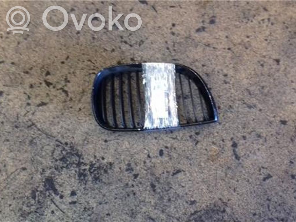 Grille calandre de capot