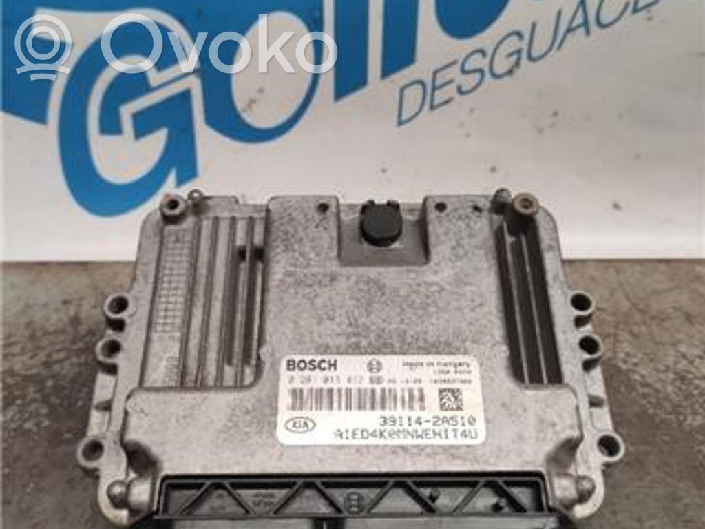 Engine control unit/module ECU   281016492,281016492
